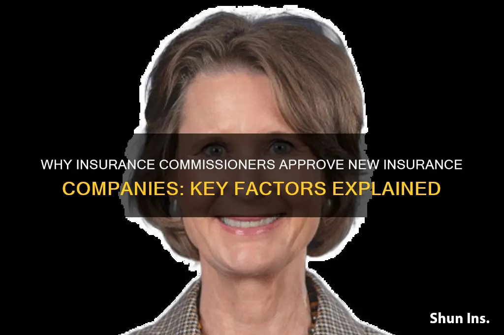 why insurance commissioners approve new insurance companies
