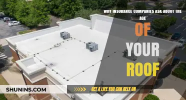 Why Roof Age Matters to Insurance Companies: Key Insights