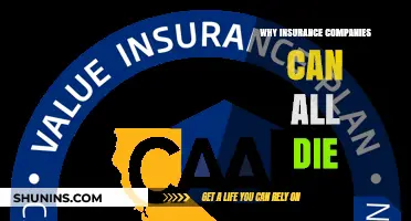 Why Insurance Companies Deserve to Fail: A Consumer's Frustration