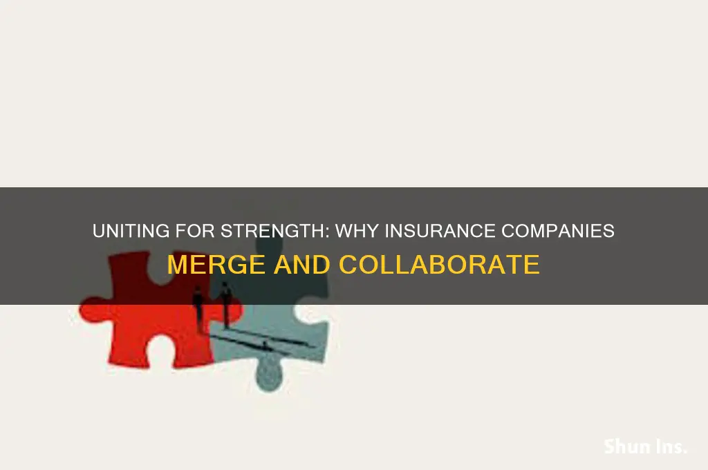 why insurance companies combine and work