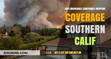 Why Are Insurance Companies Dropping Coverage in Southern California?