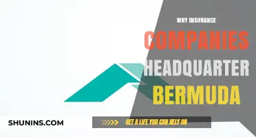 Why Bermuda Attracts Global Insurance Giants as Their Headquarters Hub
