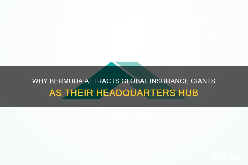 why insurance companies headquarter bermuda