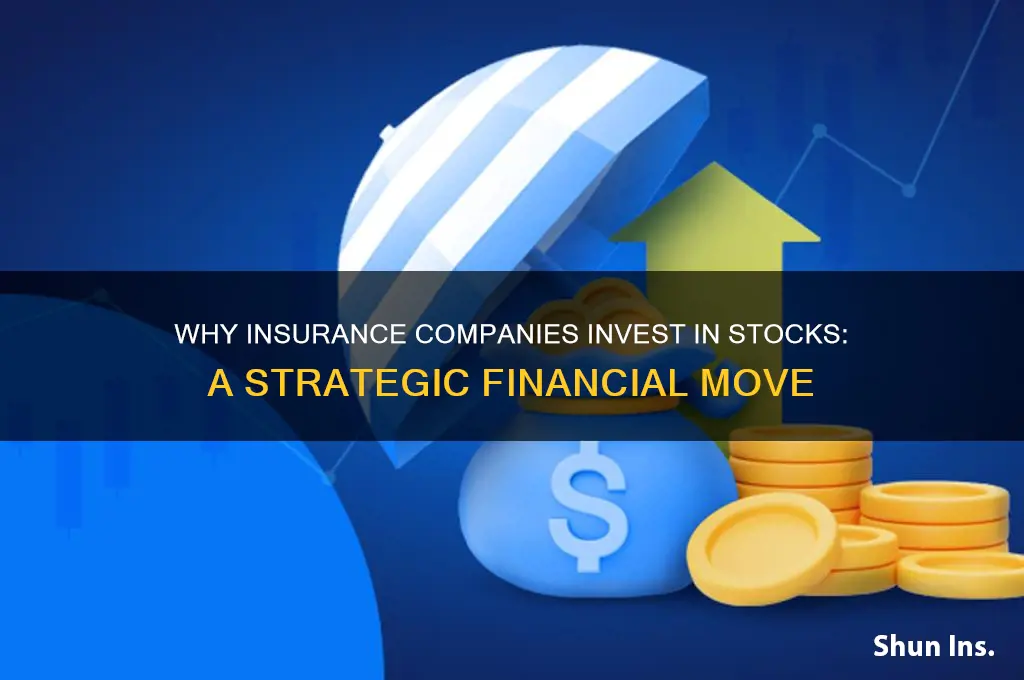 why insurance companies invets in stock