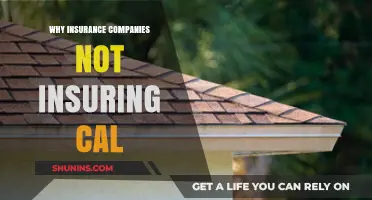 Why Insurance Companies Are Avoiding California: Risks and Reasons