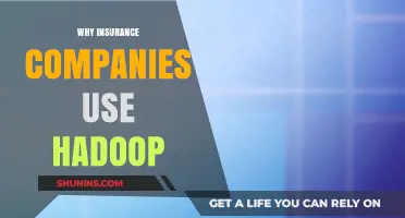 How Hadoop Revolutionizes Data Management in Insurance Companies