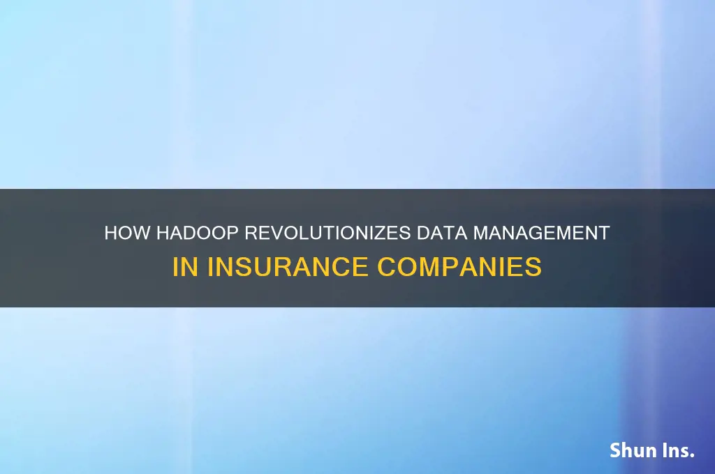 why insurance companies use hadoop