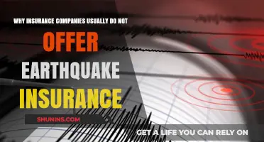 Earthquake Insurance: Why Most Companies Avoid Offering Coverage