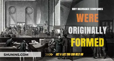 The Historical Origins of Insurance Companies: A Risk-Sharing Evolution