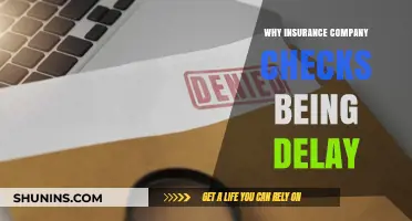Why Insurance Claims Are Delayed: Common Causes and Solutions