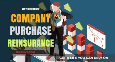 Why Insurance Companies Invest in Reinsurance: Risk Mitigation Explained