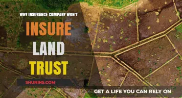 Why Insurance Companies Avoid Land Trusts: Key Risks Explained