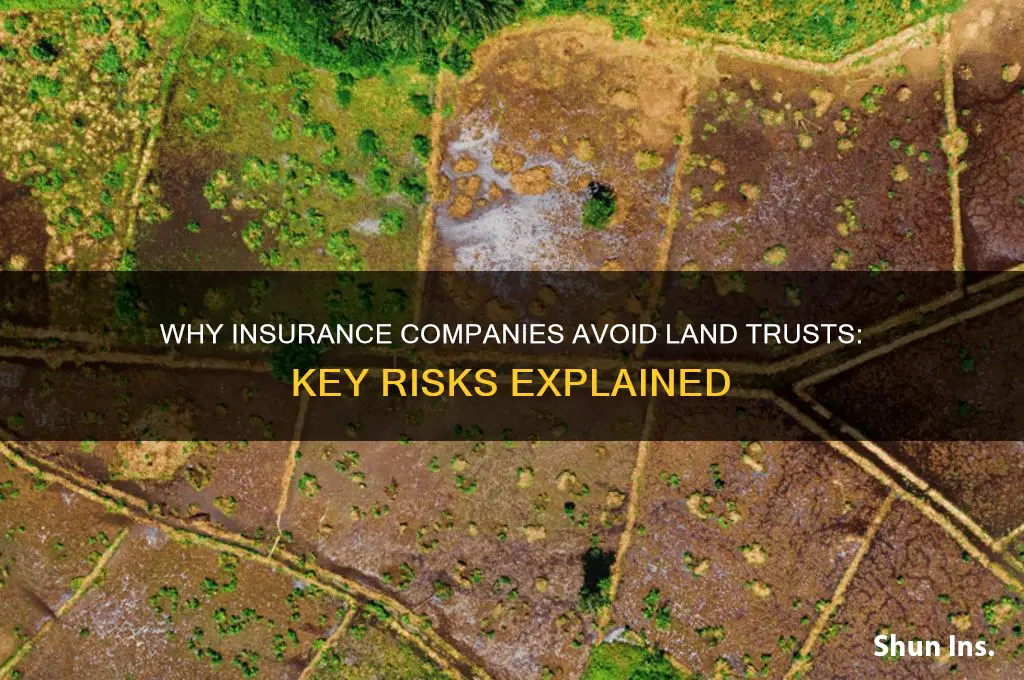 why insurance company won