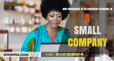 Small Business, Big Costs: Understanding High Insurance Expenses for Employees