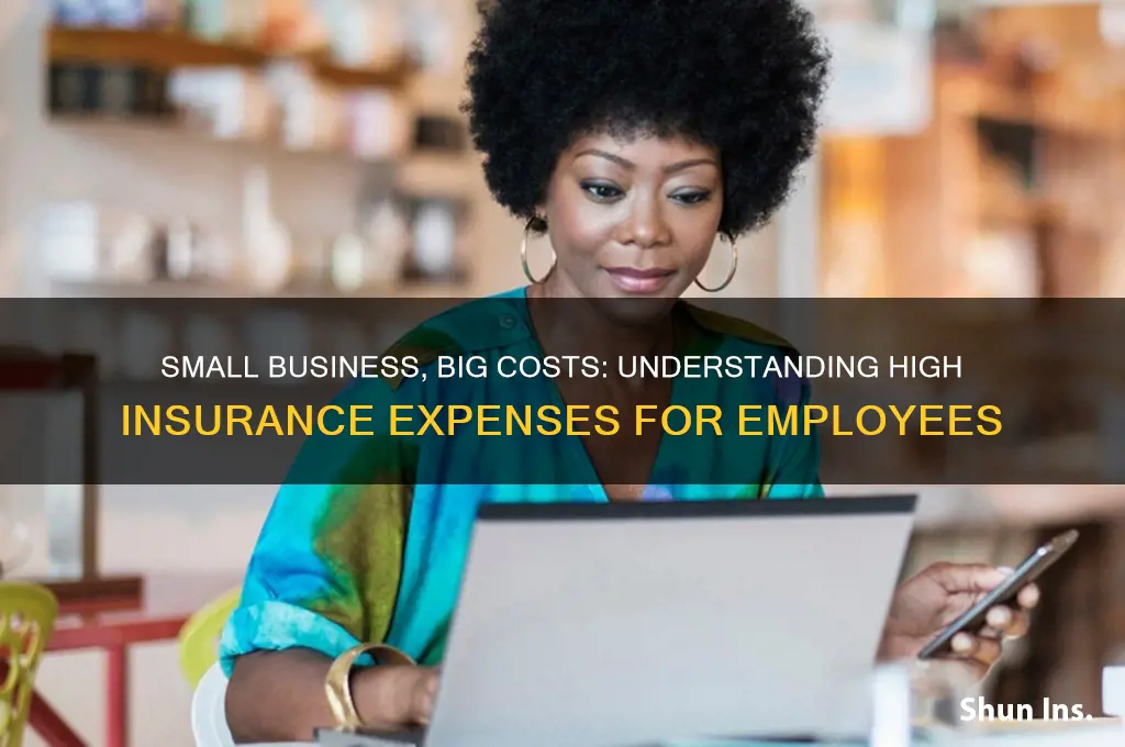 why insurance is so expensive working in a small company