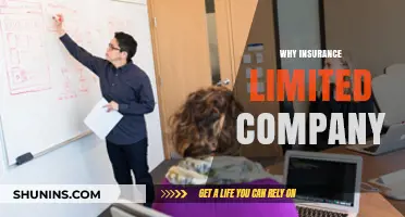 Why Choose a Limited Company Structure for Your Insurance Business?