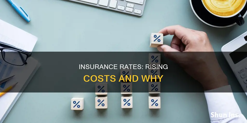 why insurance rates are going up