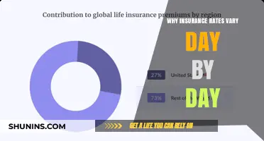 Insurance Rates: A Daily Fluctuating Cost Mystery