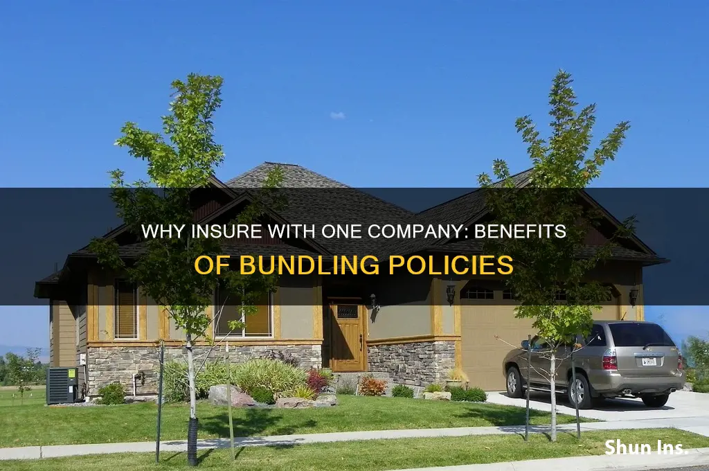 why insure with one company