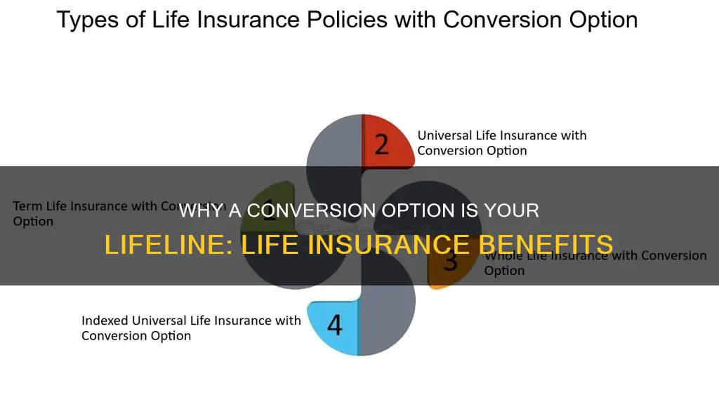 why is a conversion option important in life insurance