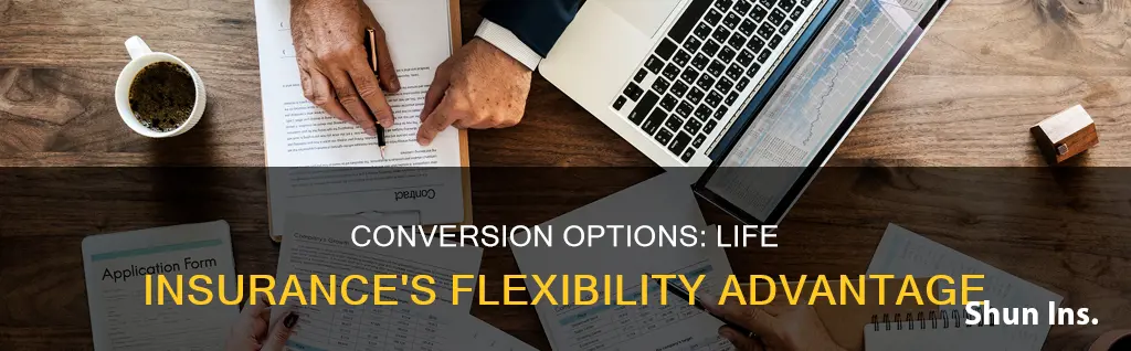 why is a conversion option important in life insurance