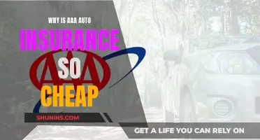 AAA Auto Insurance: Affordable Coverage, Why?