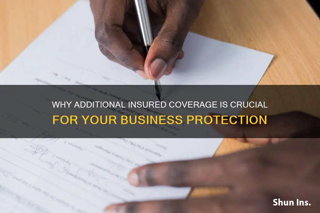 why is additional insured important