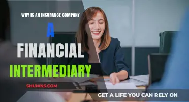 How Insurance Companies Act as Key Financial Intermediaries