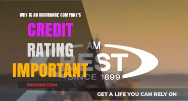 Understanding the Importance of an Insurance Company's Credit Rating