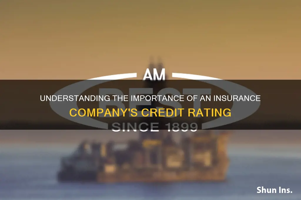 why is an insurance company