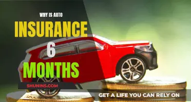 Auto Insurance: Six-Month Policies Explained