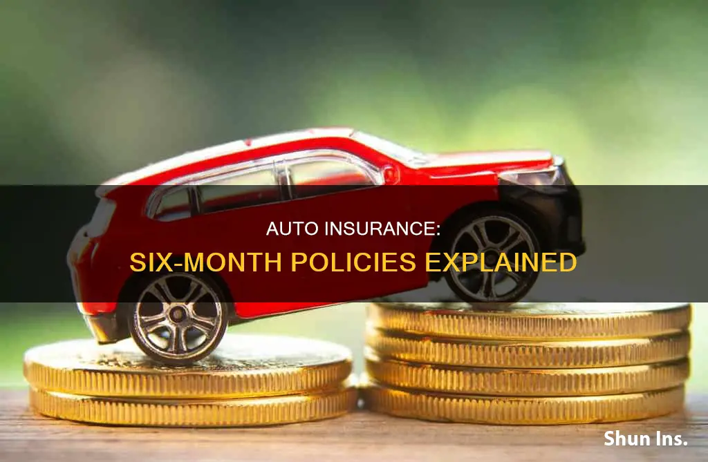 why is auto insurance 6 months