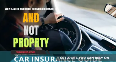 Auto Insurance: Casualty vs. Property Classification