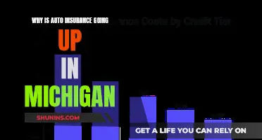 Auto Insurance Rates Rising in Michigan: Why?