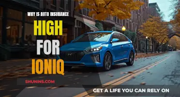 Auto Insurance Premiums for Ioniq: Why So Expensive?