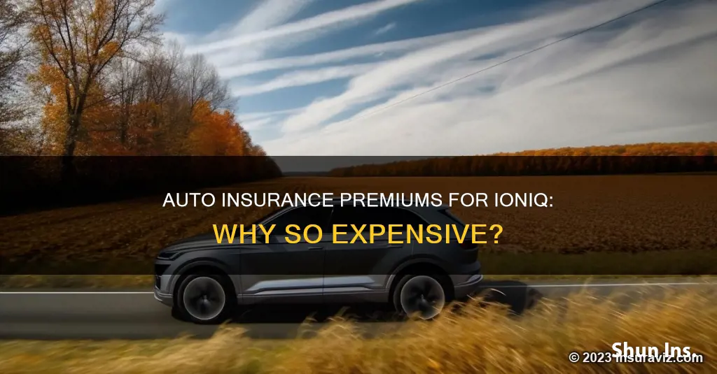 why is auto insurance high for ioniq