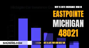 Auto Insurance in Eastpointe: Why the High Rates?