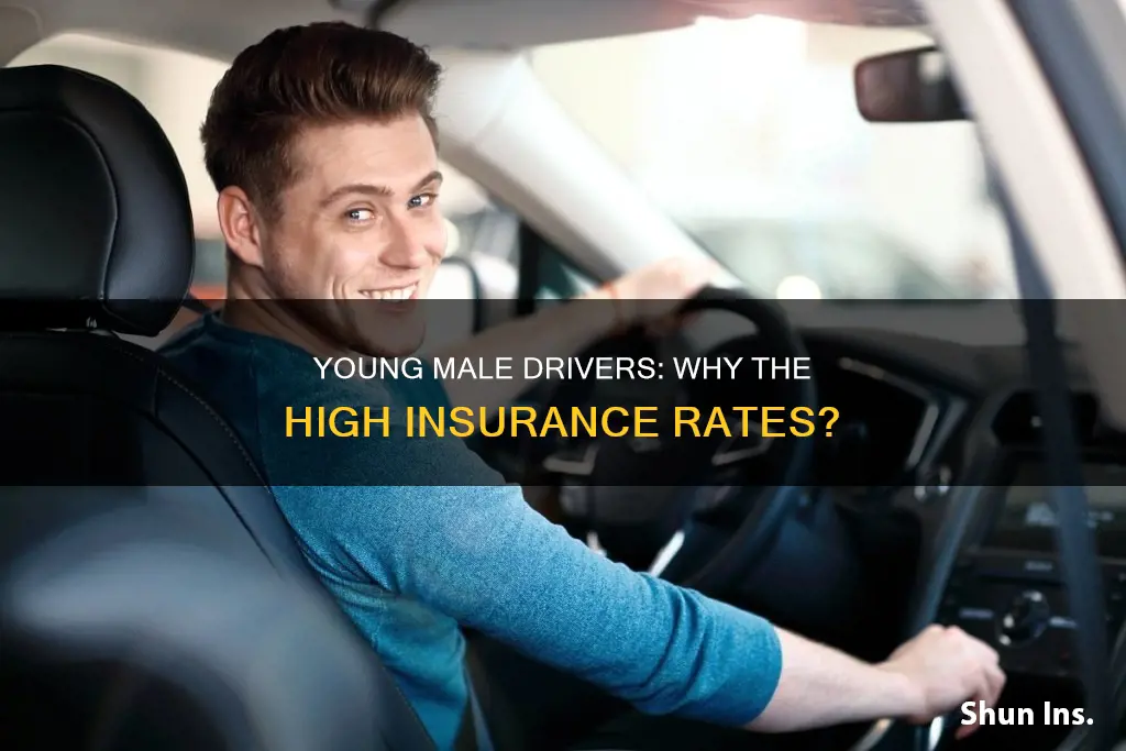 why is auto insurance higher for 25 year old males