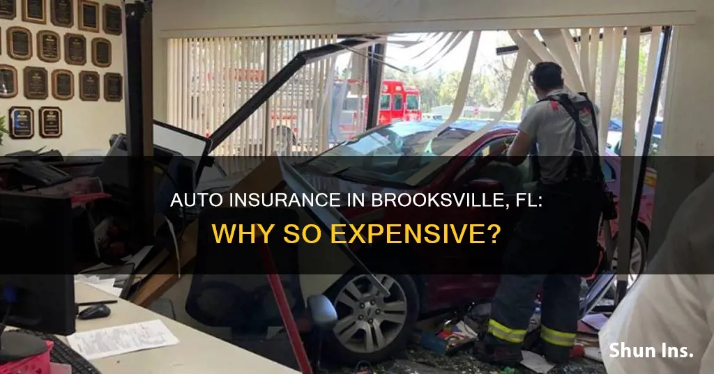 why is auto insurance more expensive in brooksville fl