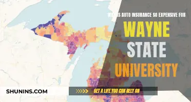 Auto Insurance Expensive for Wayne State University Students: Why?