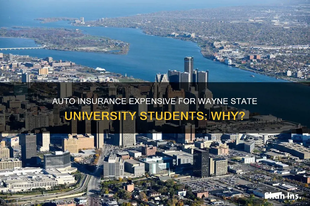 why is auto insurance so expensive for wayne state university