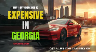 Georgia Auto Insurance: Why So Expensive?