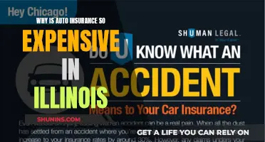 Auto Insurance in Illinois: Why So Expensive?