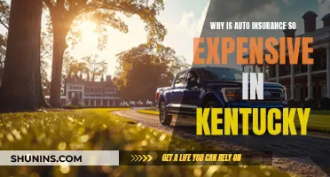 Auto Insurance in Kentucky: Why the High Cost?