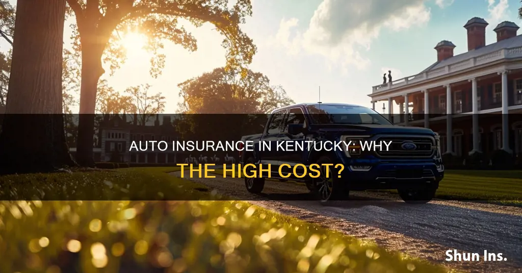 why is auto insurance so expensive in kentucky