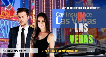 Auto Insurance in Las Vegas: Why So Expensive?