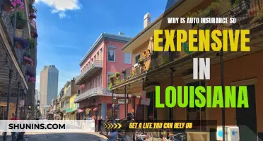 Louisiana Auto Insurance: Why So Expensive?