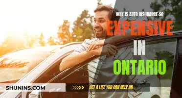 Auto Insurance in Ontario: Why So Expensive?