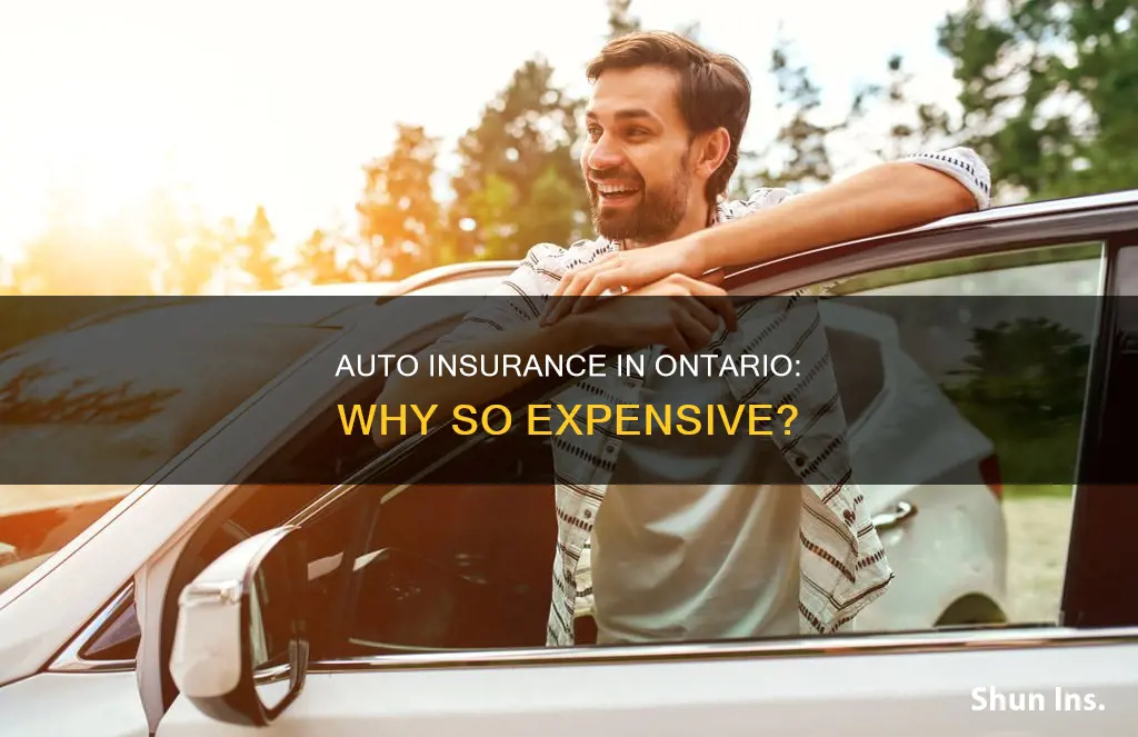 why is auto insurance so expensive in ontario