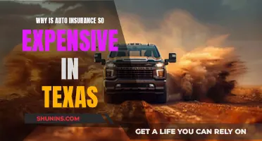 Texas Auto Insurance: Why So Costly?